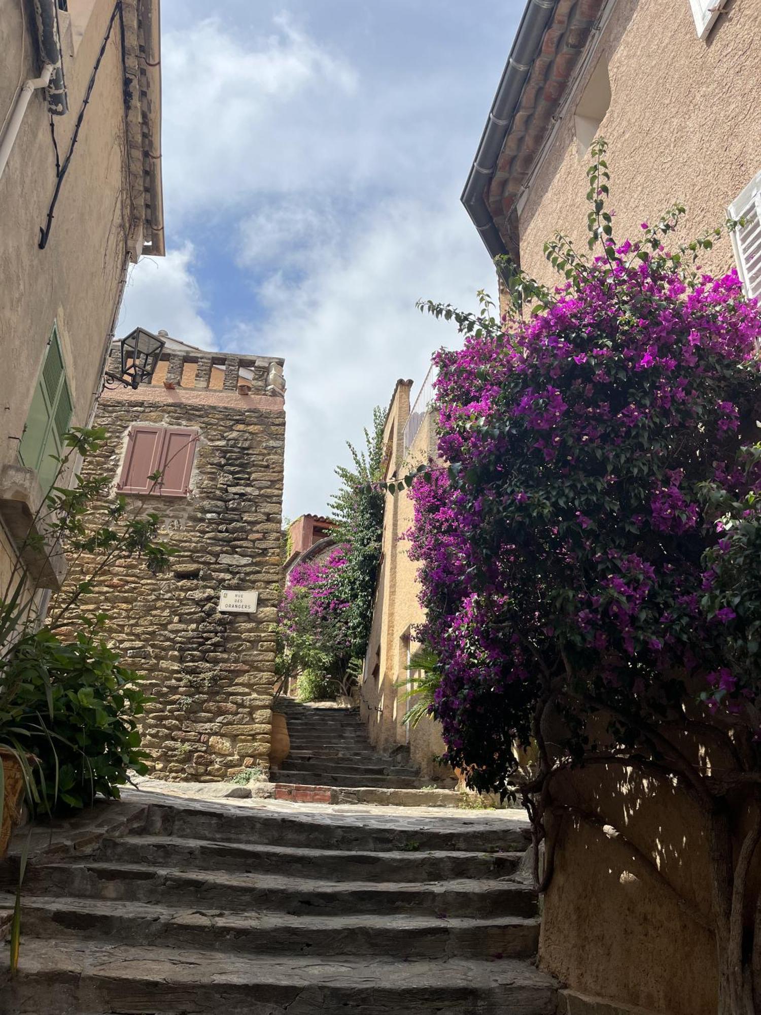 Villa La Recampado Bormes-les-Mimosas Esterno foto