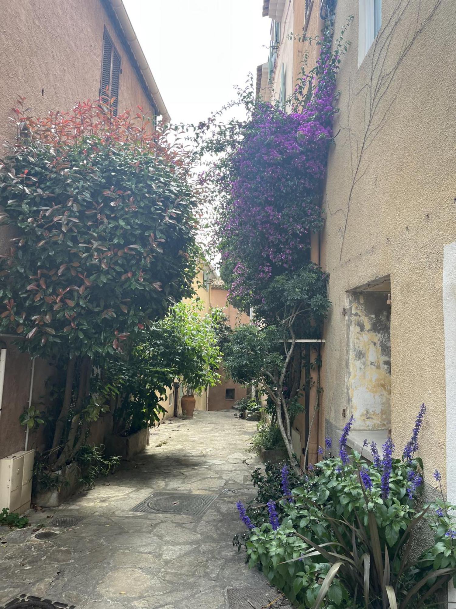 Villa La Recampado Bormes-les-Mimosas Esterno foto
