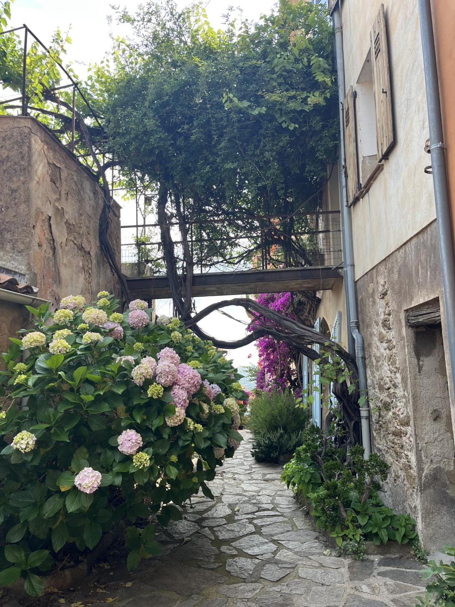 Villa La Recampado Bormes-les-Mimosas Esterno foto
