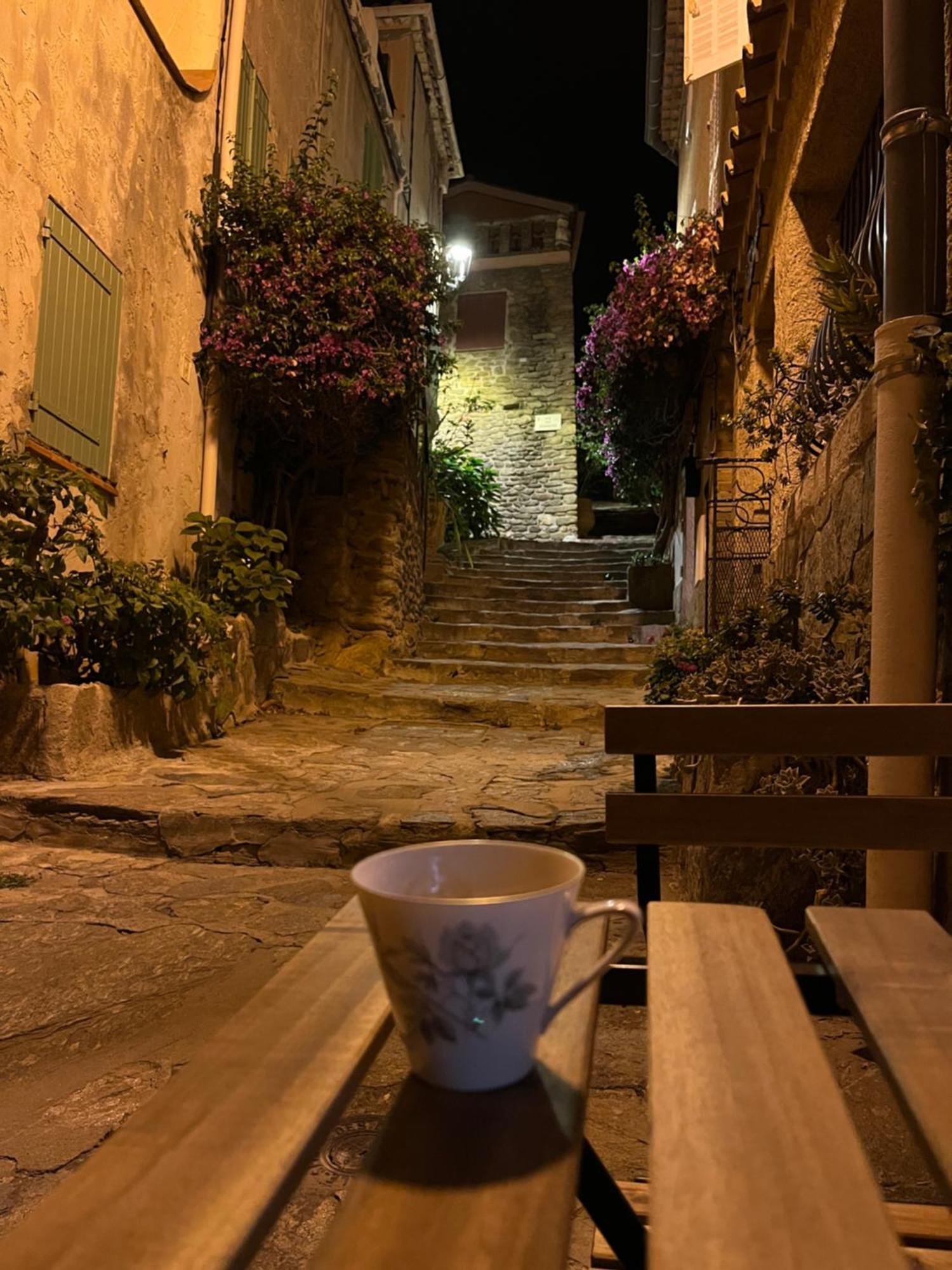 Villa La Recampado Bormes-les-Mimosas Esterno foto