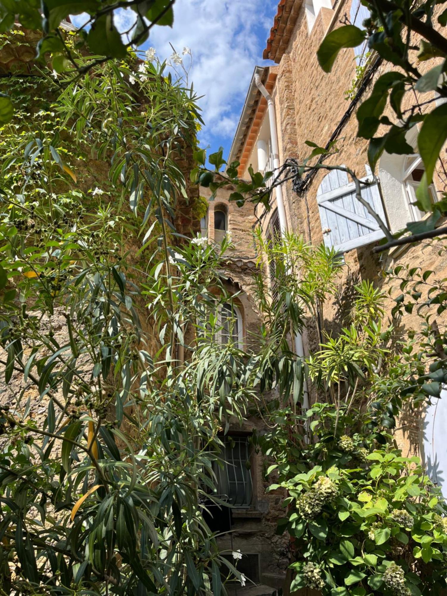 Villa La Recampado Bormes-les-Mimosas Esterno foto